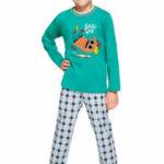 Chlapecké pyžamo Leo 2342 – Taro